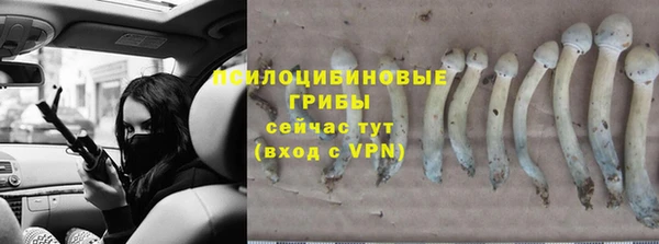 дурь Арсеньев