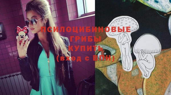 тгк Алексеевка