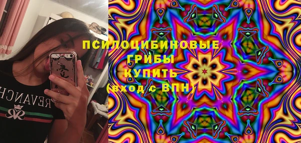apvp Абаза