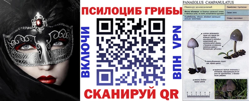 Галлюциногенные грибы прущие грибы  Чебоксары 