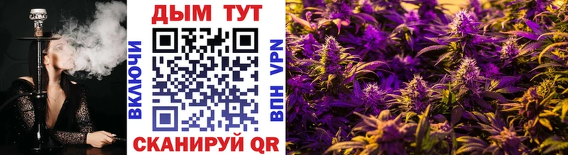 дарнет шоп Чебоксары Каннабис Ganja